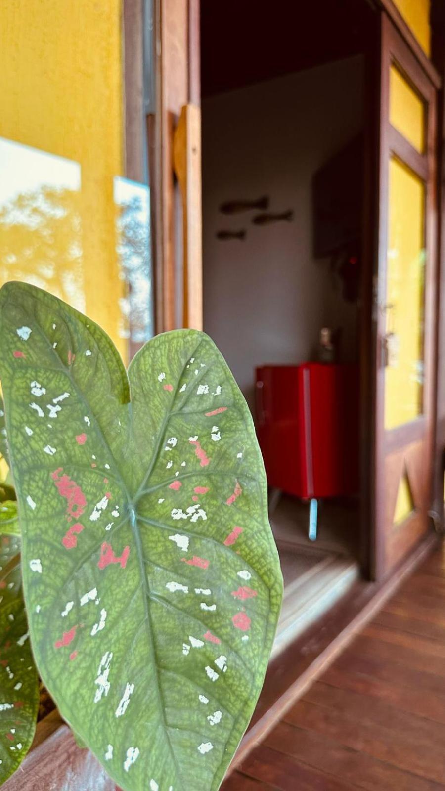 Pousada Pedras Secas Fernando de Noronha Ngoại thất bức ảnh